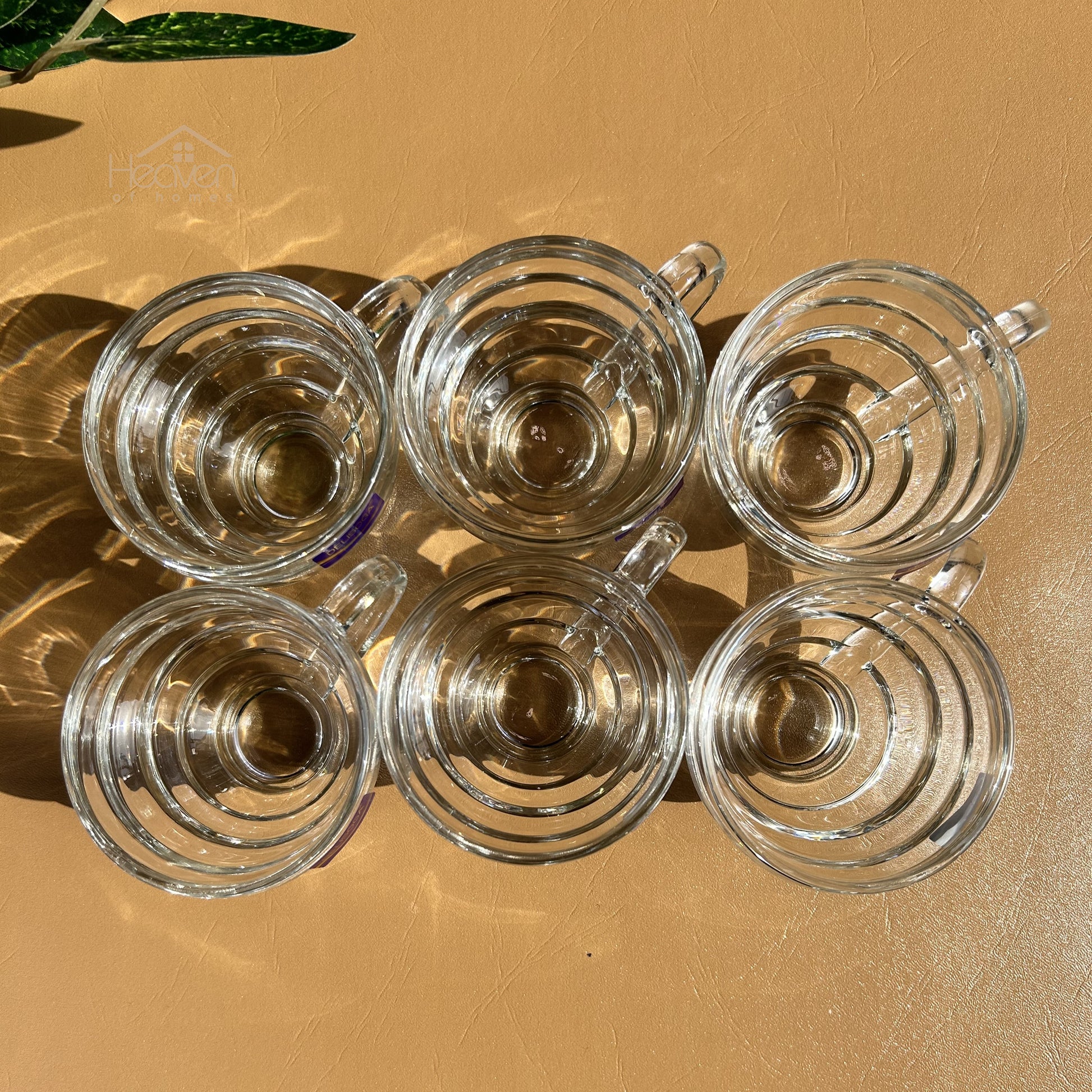 Delisoga® Set of 6 Transparent Clear Glass Coffee & Tea Mugs – 210ml Elegant Cup Design - Heaven of homes - Sale Pakistan