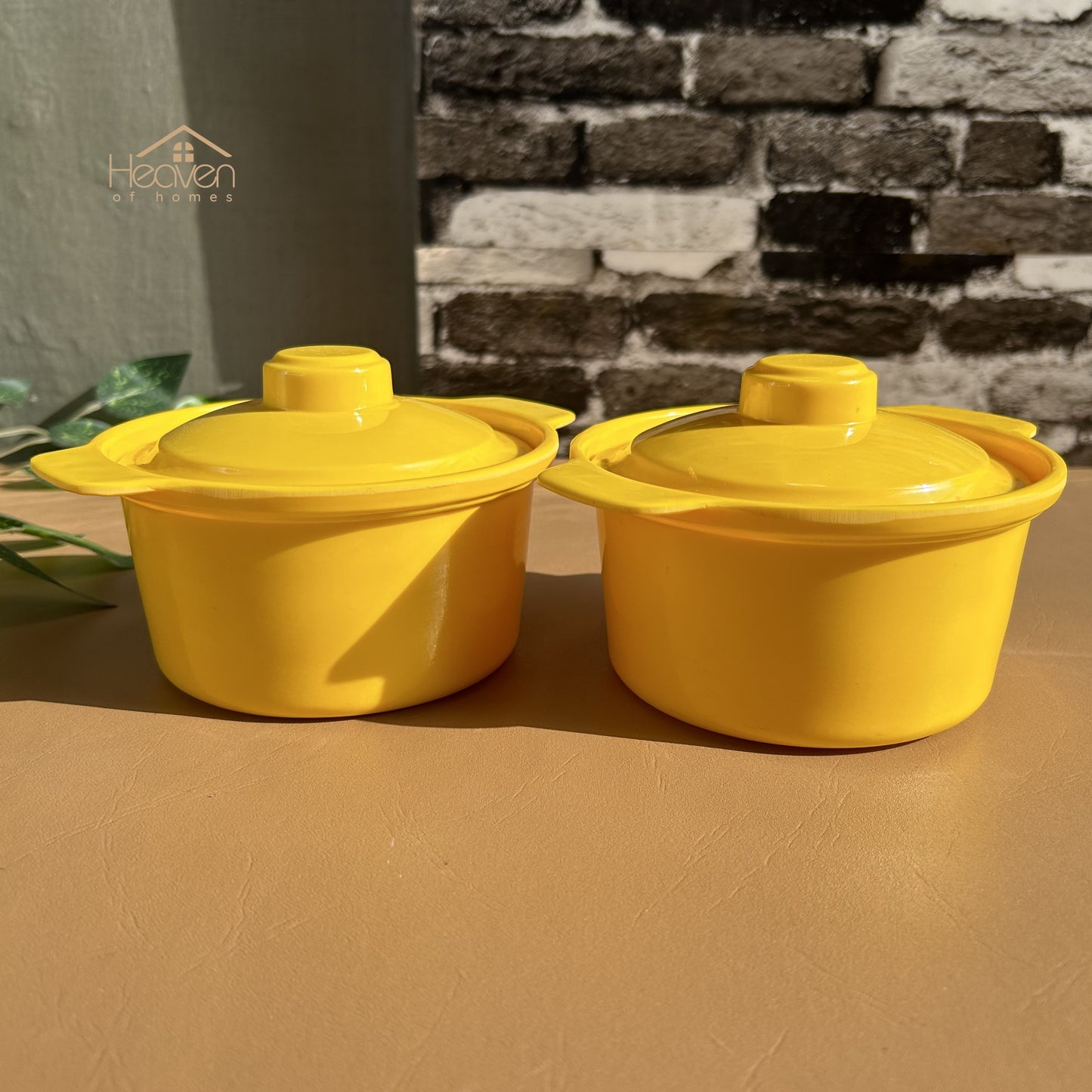 Heaven Set of 2 Melamine Bowls with Lid Microwave Safe - Heaven of homes - Sale Pakistan
