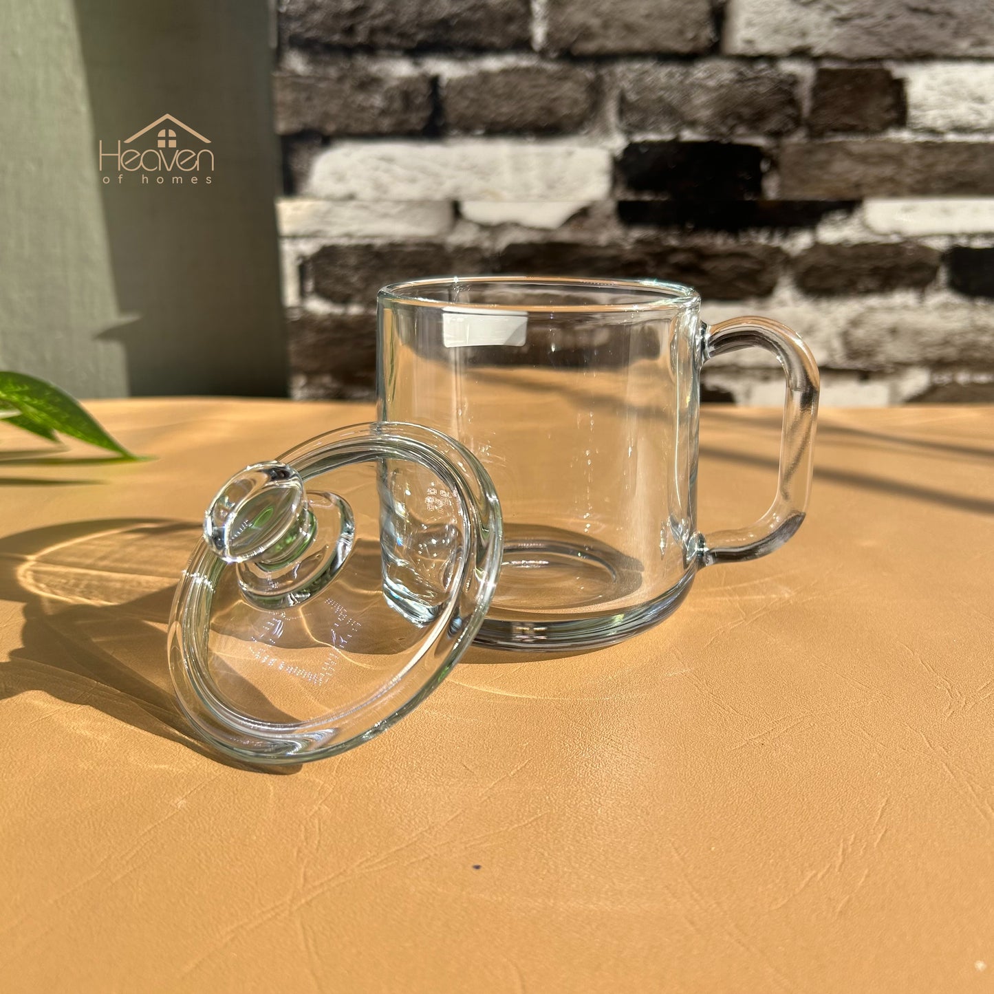 Delisoga® Set of 2 Transparent Coffee Mug with Glass Lid - Premium 360ml - Heaven of homes - Sale Pakistan