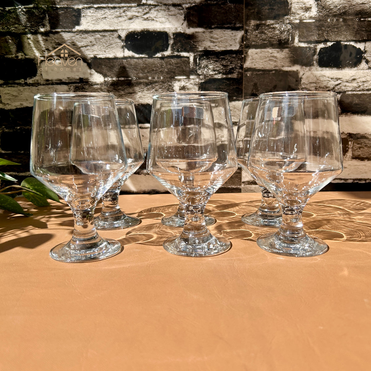 Nova® 6-Piece Clear Glass Vine Drinking Glass Set – Elegant Tumblers for Water & Juice Brio 300 ml