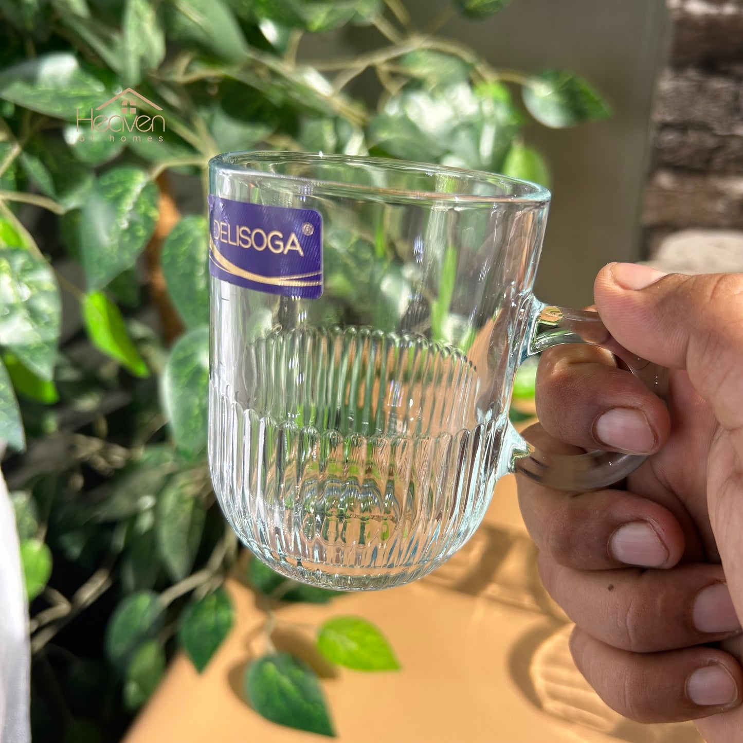 Delisoga® Set of 6 Clear Glass Coffee & Tea Mugs – 250 ml Elegant Cup Design - Heaven of homes - Sale Pakistan