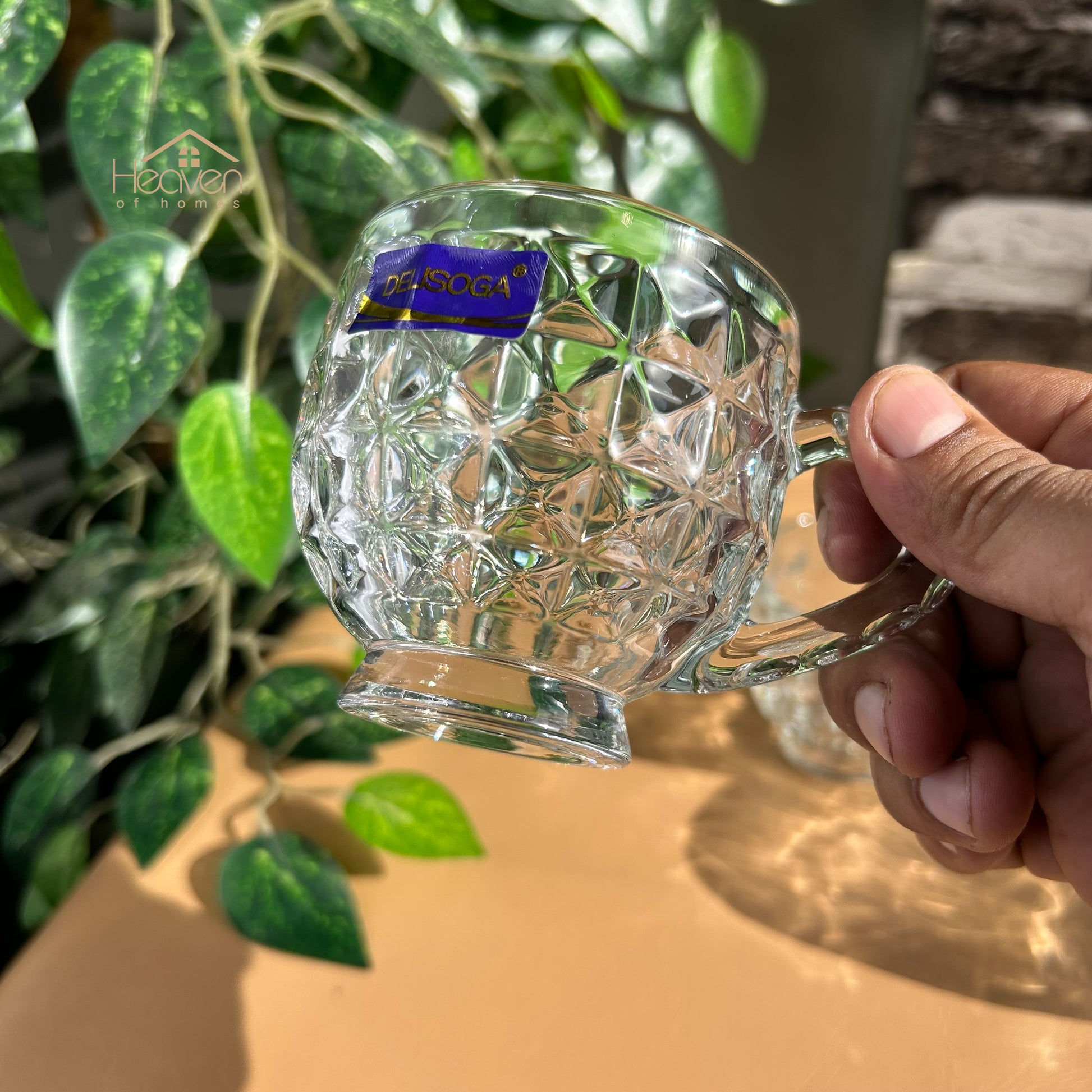 Delisoga® Set of 6 Clear Glass Coffee & Tea Mugs – 210ml Elegant Cup Design - Heaven of homes - Sale Pakistan