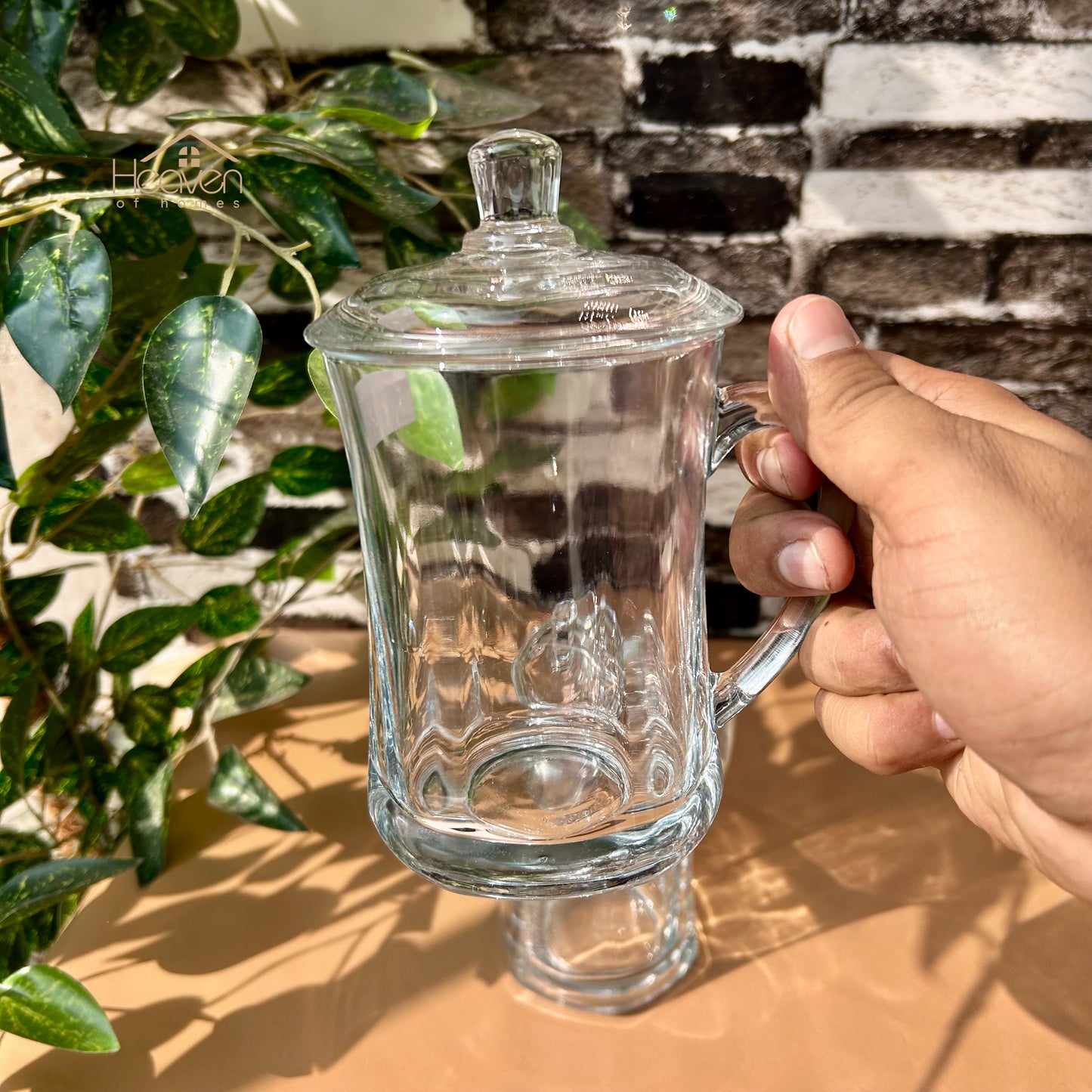 Delisoga® Set of 2 Transparent Coffee Mug with Glass Lid - Premium Glassware Long - Heaven of homes - Sale Pakistan
