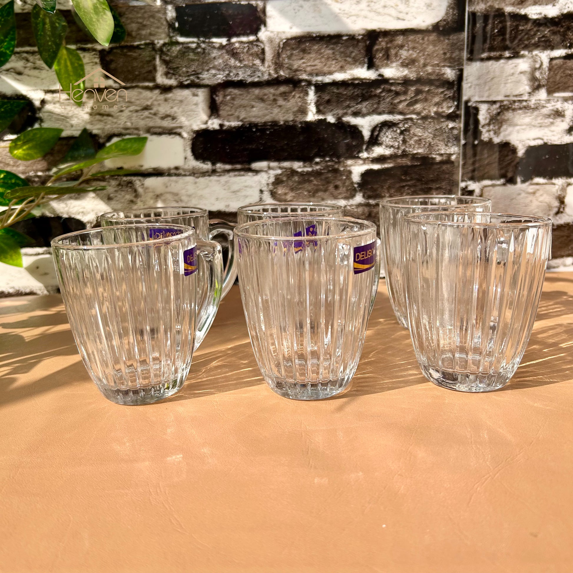 Delisoga® Set of 6 Clear Glass Coffee & Tea Mugs – 250 ml Elegant Green Tea Mugs - Heaven of homes - Sale Pakistan