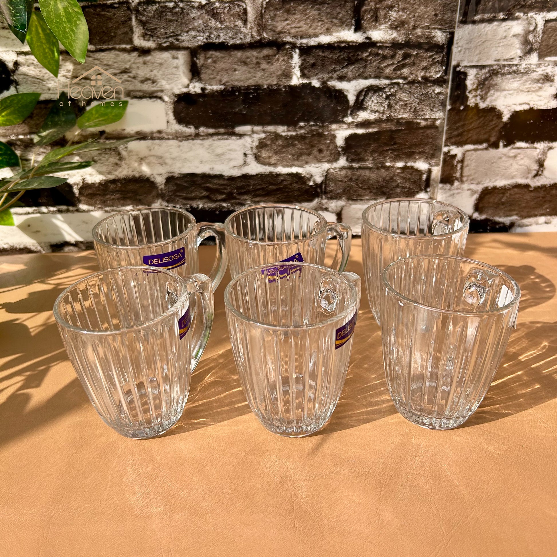 Delisoga® Set of 6 Clear Glass Coffee & Tea Mugs – 250 ml Elegant Green Tea Mugs - Heaven of homes - Sale Pakistan