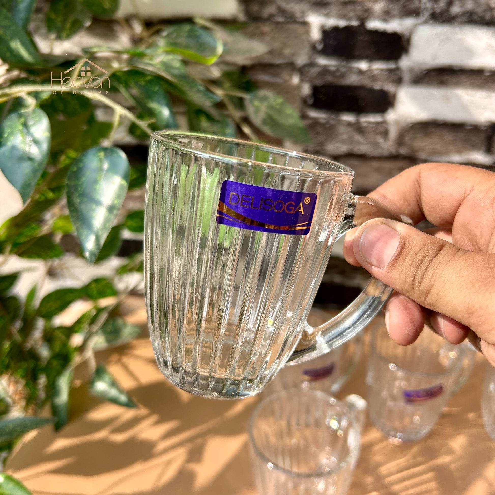 Delisoga® Set of 6 Clear Glass Coffee & Tea Mugs – 250 ml Elegant Green Tea Mugs - Heaven of homes - Sale Pakistan