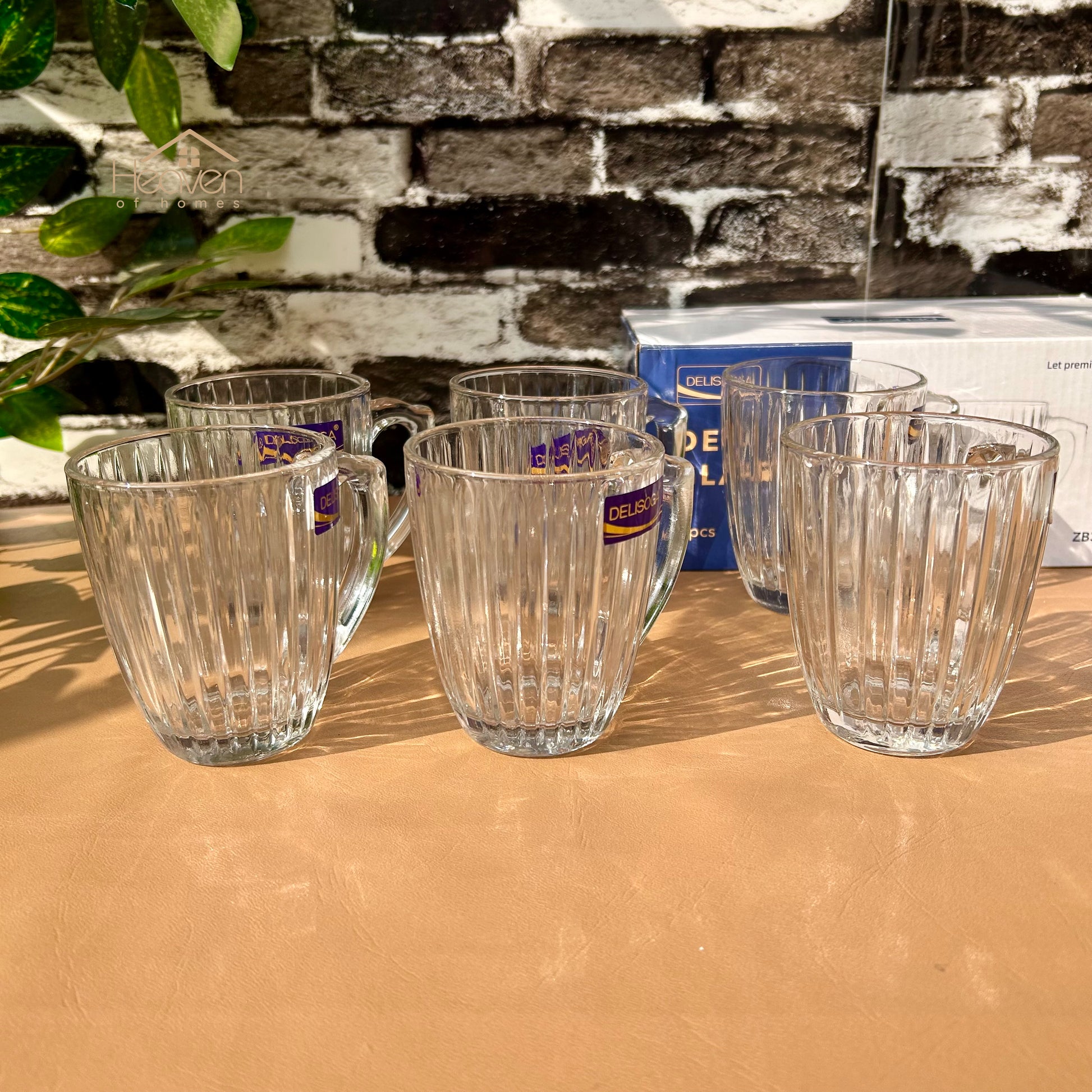 Delisoga® Set of 6 Clear Glass Coffee & Tea Mugs – 250 ml Elegant Green Tea Mugs - Heaven of homes - Sale Pakistan