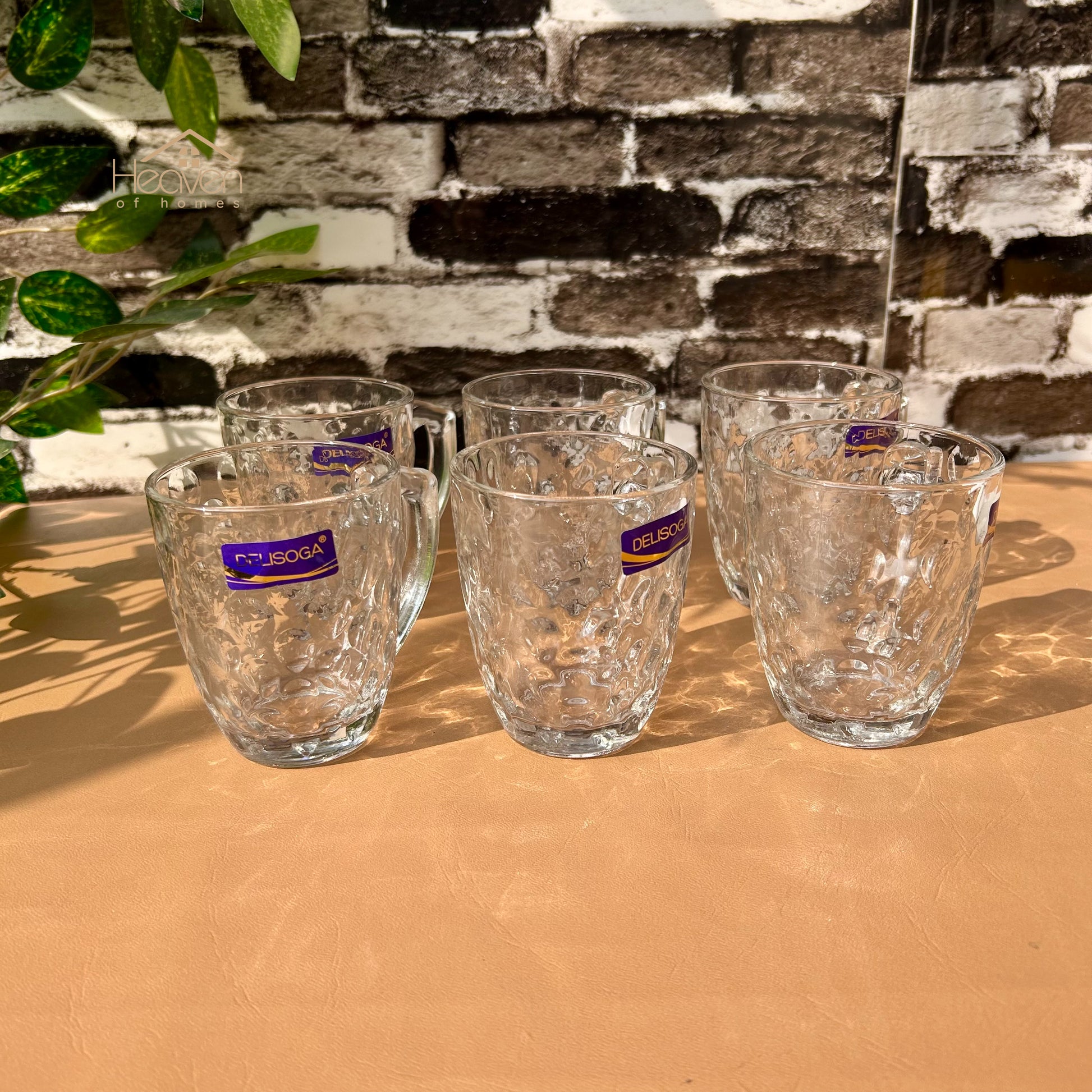 Delisoga® Set of 6 Clear Glass Coffee & Tea Mugs – 250 ml Elegant Green Tea Mugs - Heaven of homes - Sale Pakistan
