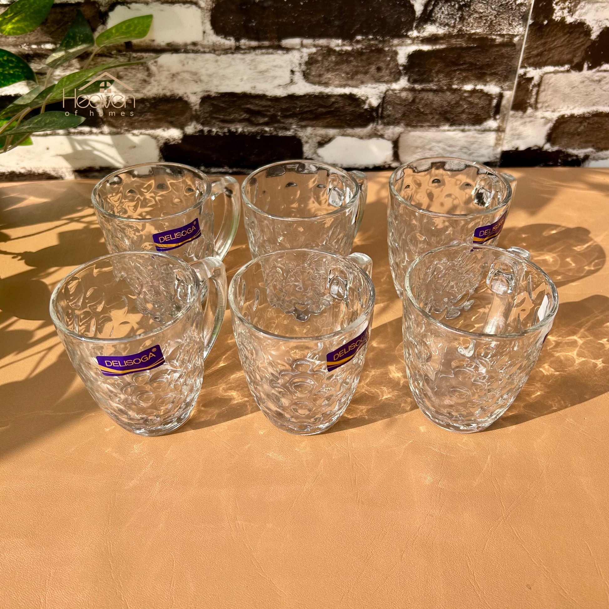 Delisoga® Set of 6 Clear Glass Coffee & Tea Mugs – 250 ml Elegant Green Tea Mugs - Heaven of homes - Sale Pakistan