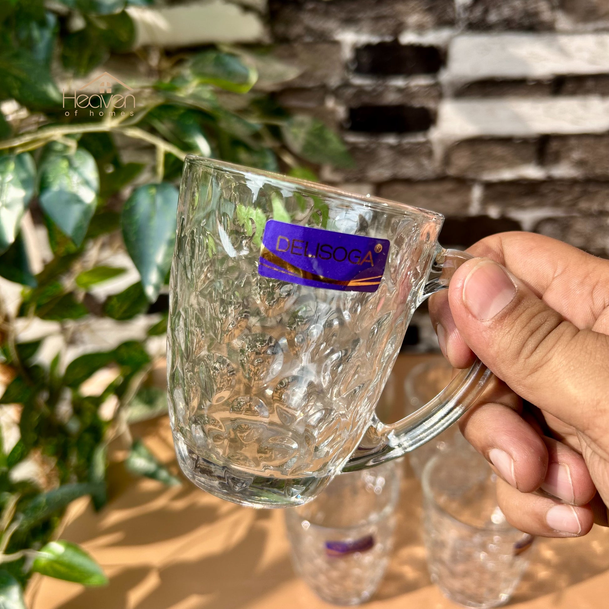 Delisoga® Set of 6 Clear Glass Coffee & Tea Mugs – 250 ml Elegant Green Tea Mugs - Heaven of homes - Sale Pakistan