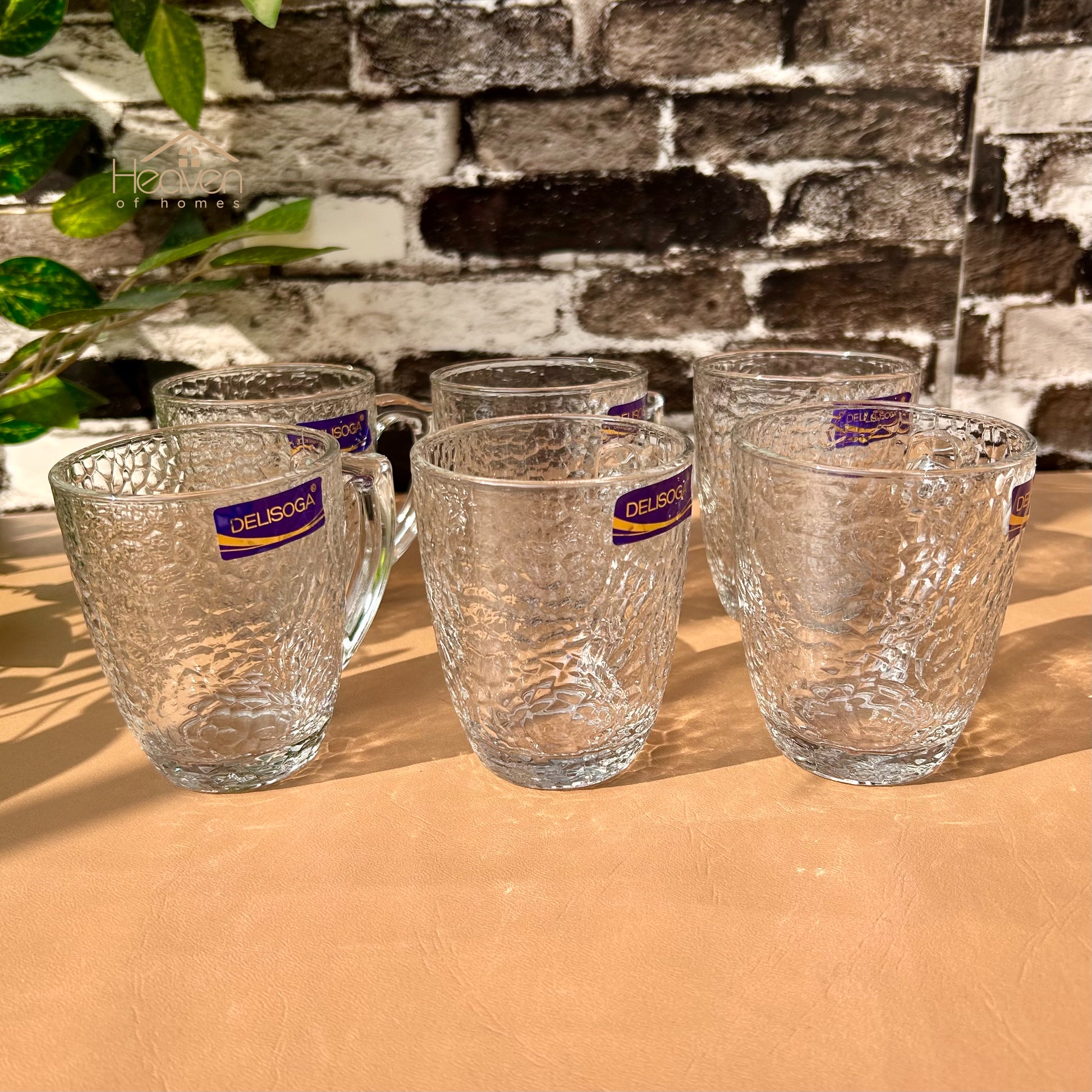 Delisoga® Set of 6 Clear Glass Coffee & Tea Mugs – 250 ml Elegant Green Tea Mugs - Heaven of homes - Sale Pakistan