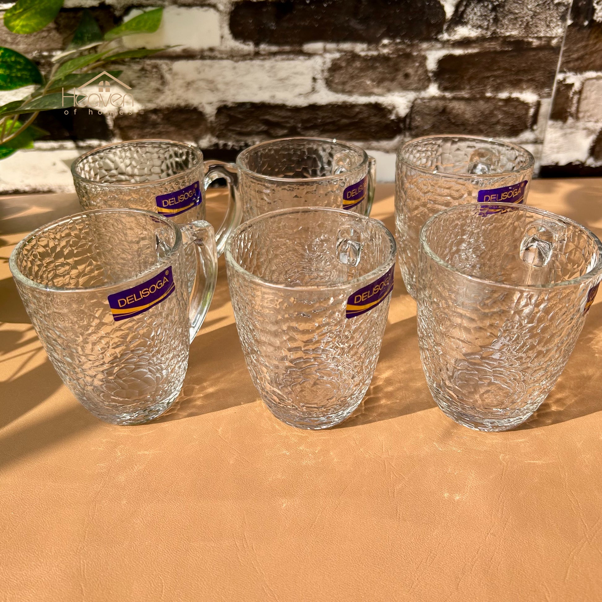 Delisoga® Set of 6 Clear Glass Coffee & Tea Mugs – 250 ml Elegant Green Tea Mugs - Heaven of homes - Sale Pakistan