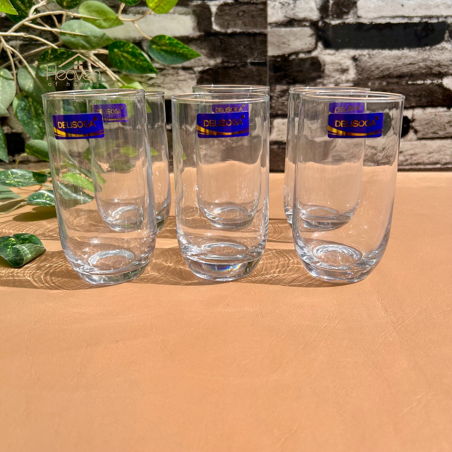 Delisoga® Drinking Glasses – Elegant and Stylish Glassware 300 ML J1010