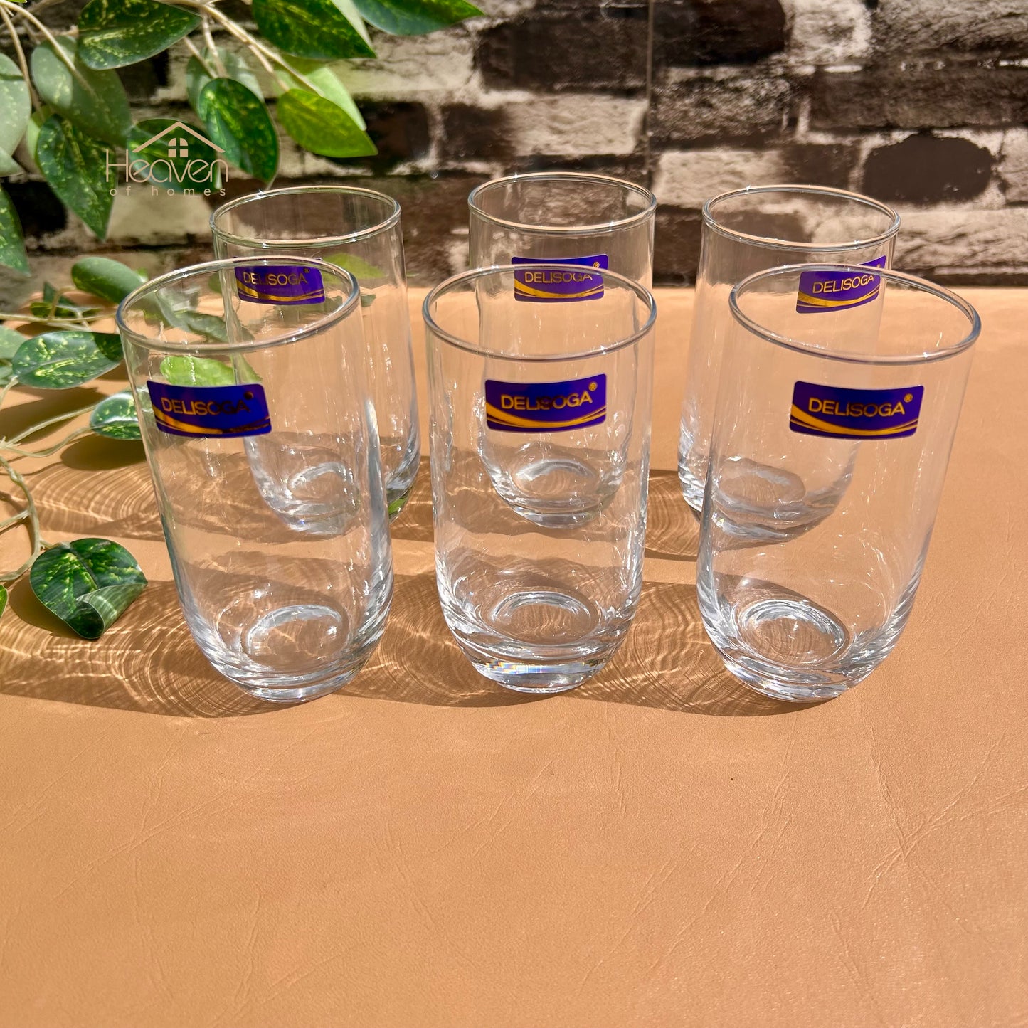 Delisoga® Drinking Glasses – Elegant and Stylish Glassware 300 ML J1010