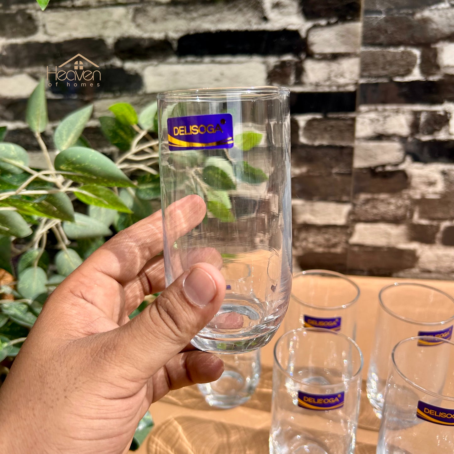 Delisoga® Drinking Glasses – Elegant and Stylish Glassware 300 ML J1010