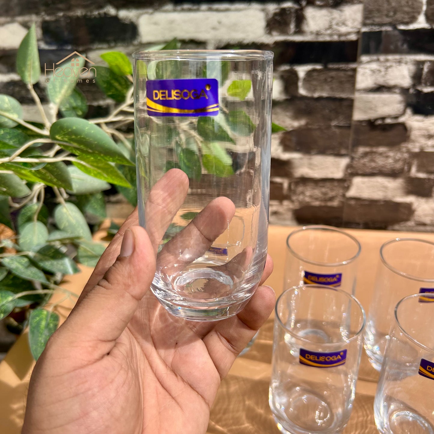 Delisoga® Drinking Glasses – Elegant and Stylish Glassware 300 ML J1010