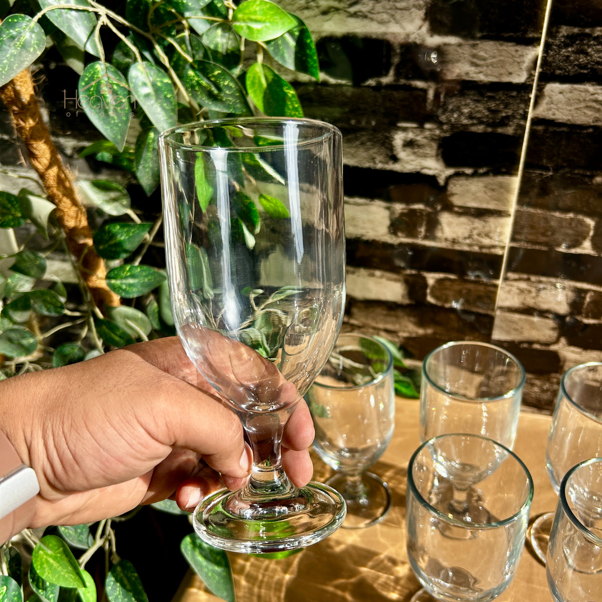 Delisoga® 6-piece 340ml Transparent Vine Glass Drinking Glasses – For Home & Dining Plain K325