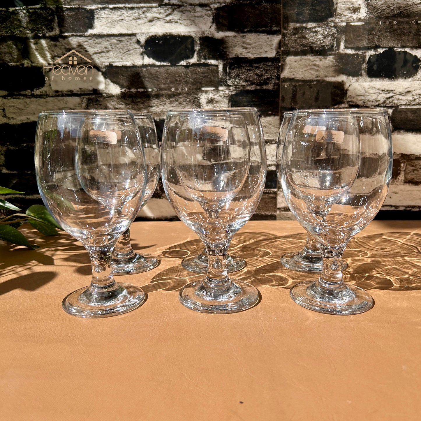Nova® Set of 6 Clear Glass Vine Tumblers – Stylish Glassware for Everyday Use Bistro 280 ml