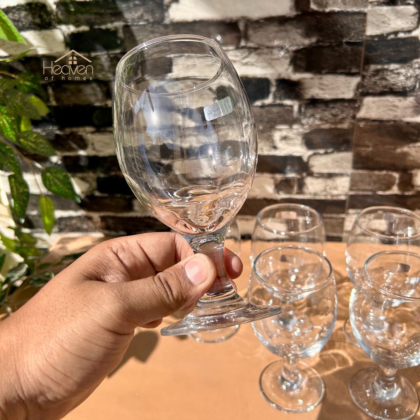 Nova® Set of 6 Clear Glass Vine Tumblers – Stylish Glassware for Everyday Use Bistro 280 ml