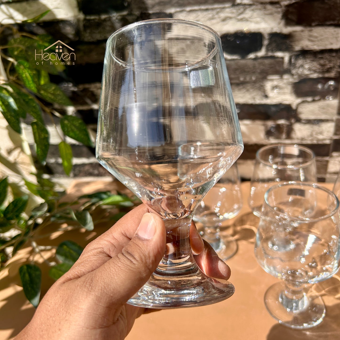 Nova® 6-Piece Clear Glass Vine Drinking Glass Set – Elegant Tumblers for Water & Juice Brio 300 ml