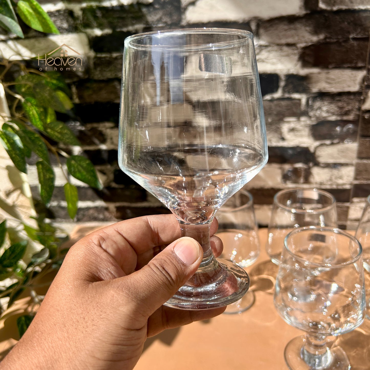 Nova® 6-Piece Clear Glass Vine Drinking Glass Set – Elegant Tumblers for Water & Juice Brio 300 ml