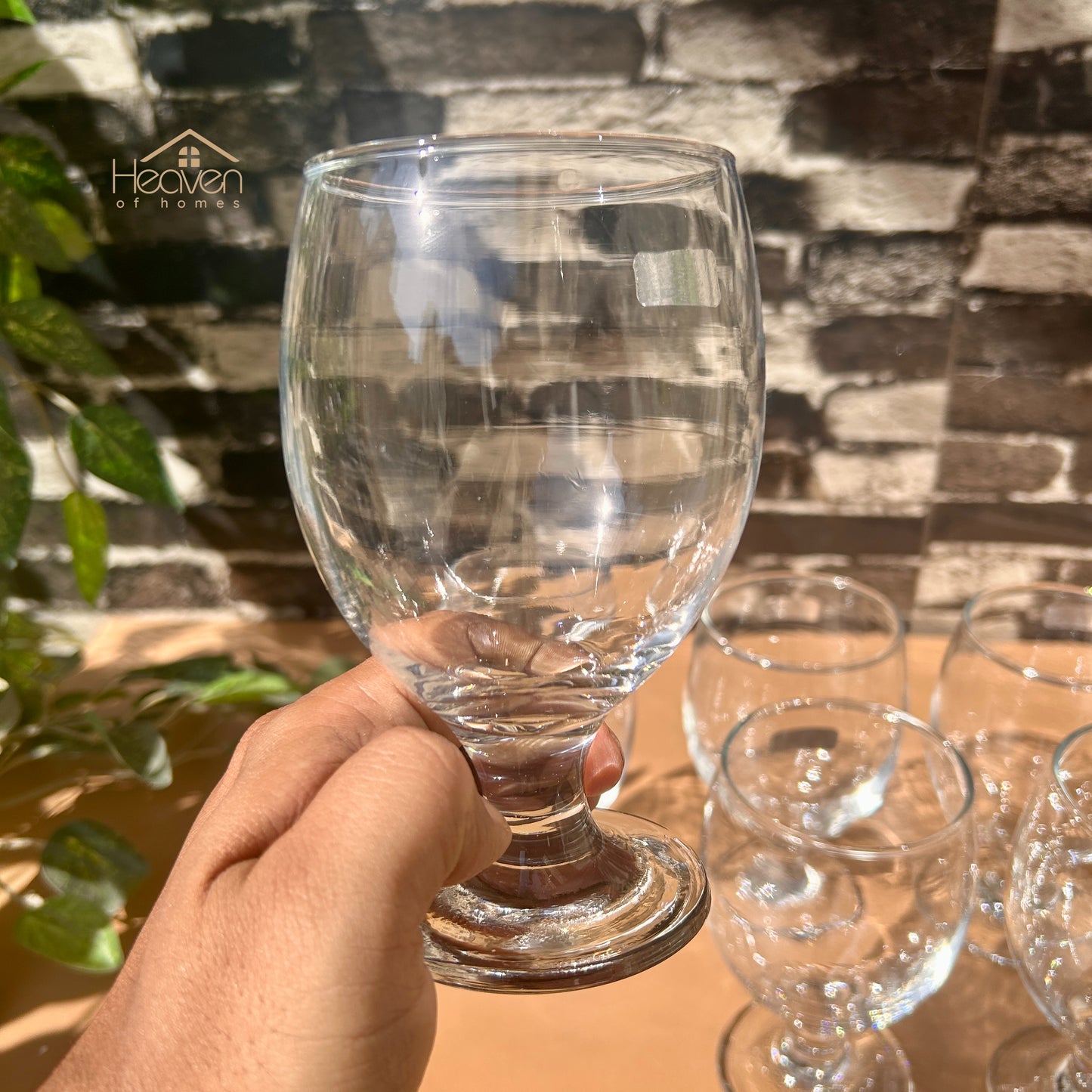 Nova® 6-piece Transparent Vine Glass Drinking Glasses – For Home & Dining Bingo 350 ml