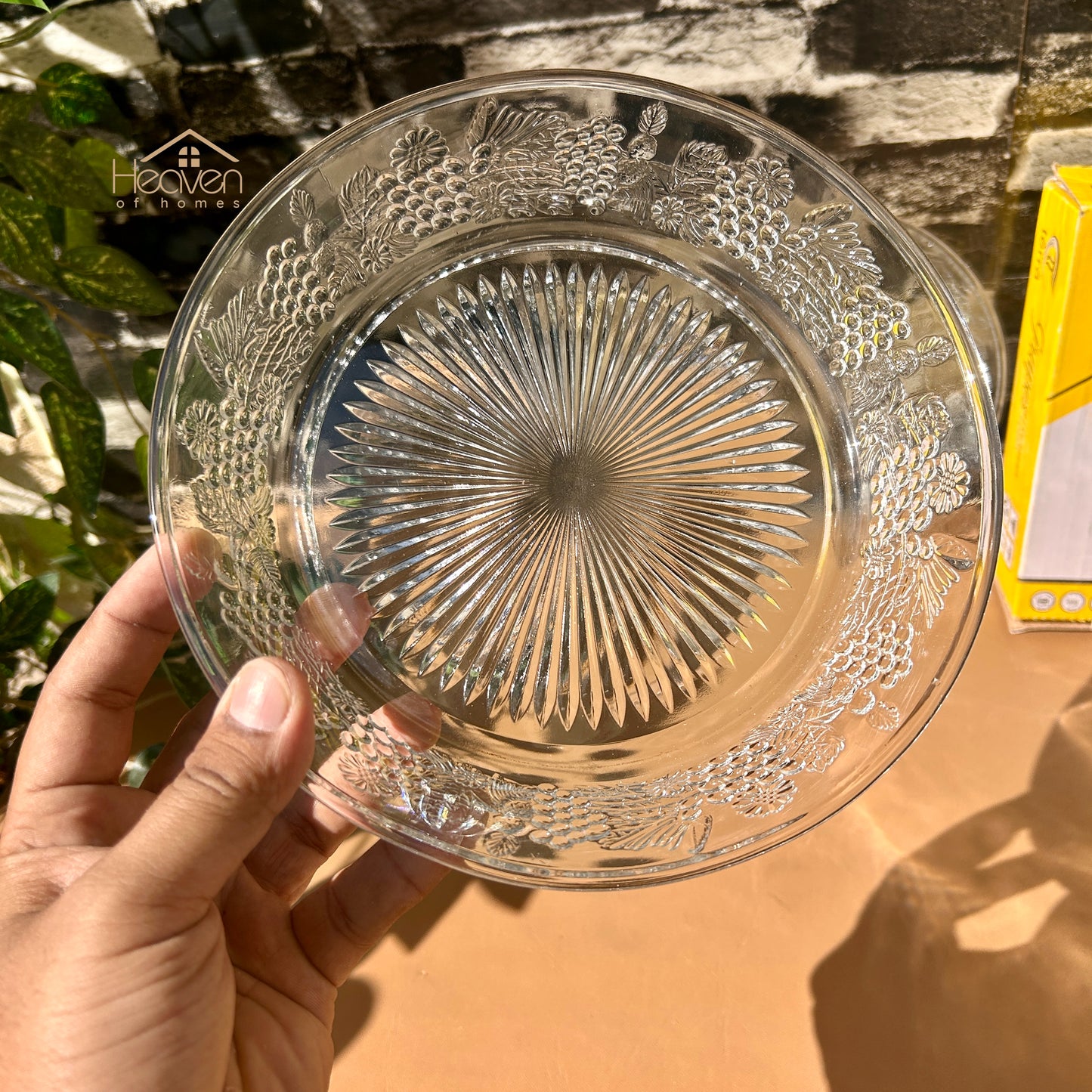 Heaven® Set of 2 Clear Glass Plates – 9-Inch Transparent Dinner Plates