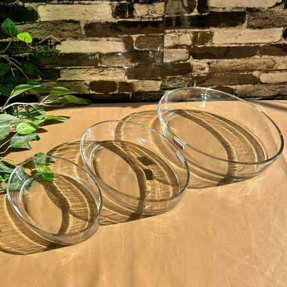 Delisoga® Set of 3 Clear Glass Oval Serving Dishes | Microwave Safe Roasting Dishes P137/L3