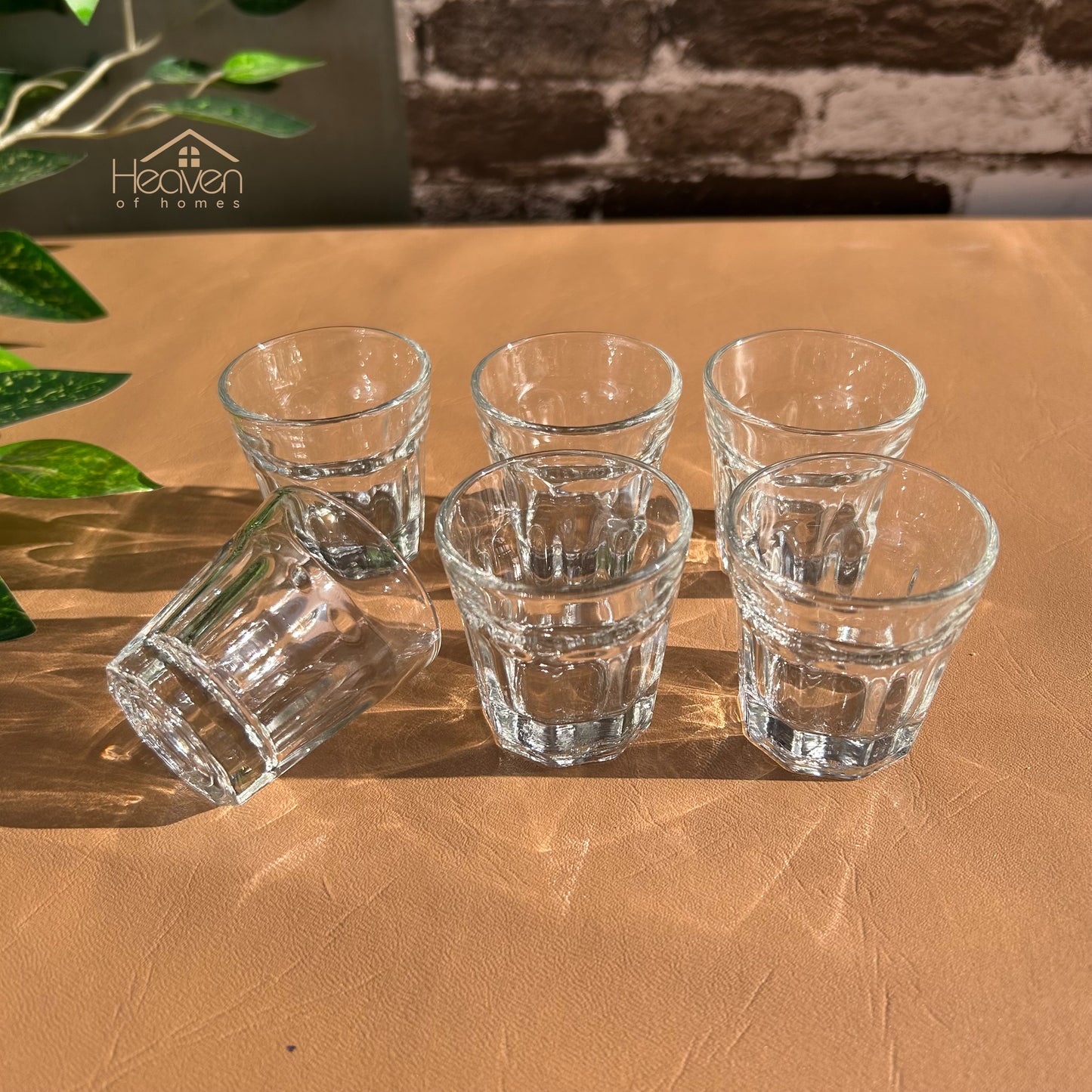 Heaven of Homes Zam Zam Mini Glasses – Set of 6 for Decor or Candle Crafting