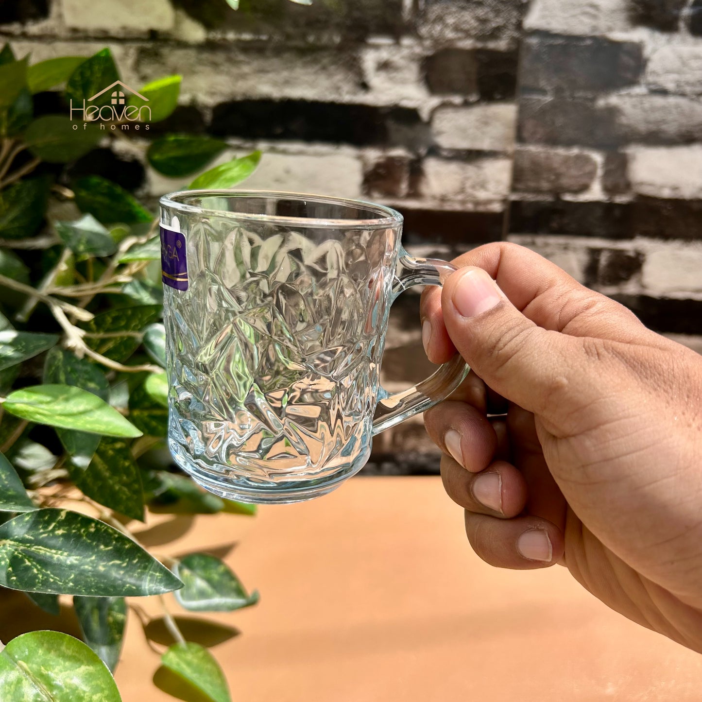 Delisoga® Set of 6 Mugs 240ml Clear Glass Mug – Coffee & Juice Mug with Handle - ZB24B
