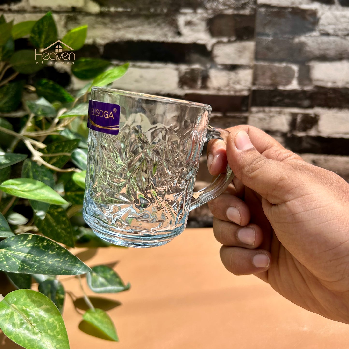 Delisoga® Set of 6 Mugs 240ml Clear Glass Mug – Coffee & Juice Mug with Handle - ZB24B