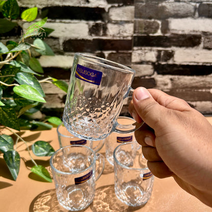 Delisoga® 6-Piece Clear Glassware Set – 220ml Stylish Tea & Coffee Mugs for Daily Use - ZB152