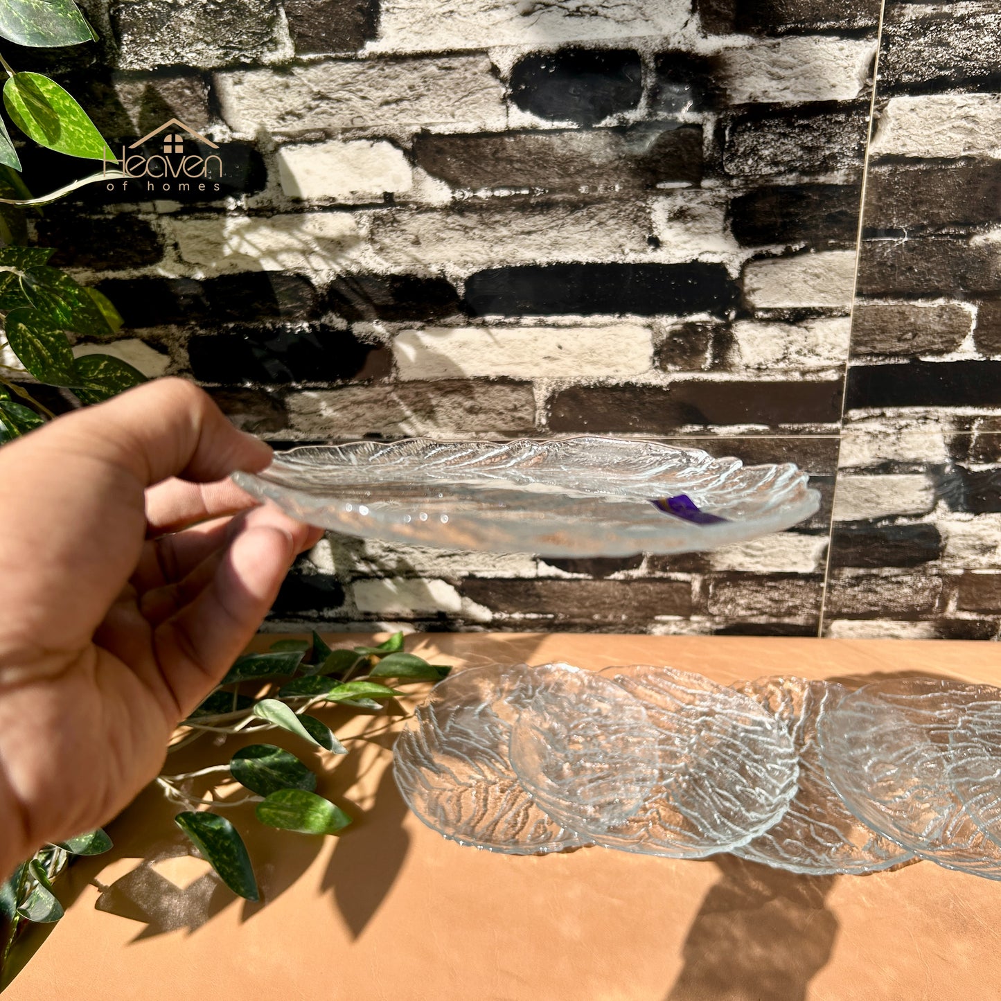 Delisoga® Set of 6 Clear Glass Quarter Plates – Elegant & Durable - PO3-7E