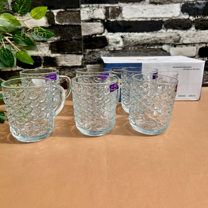 Delisoga® 6-Peice 240ml Clear Glass Mugs – Tea, Coffee & Green Tea Drinkware