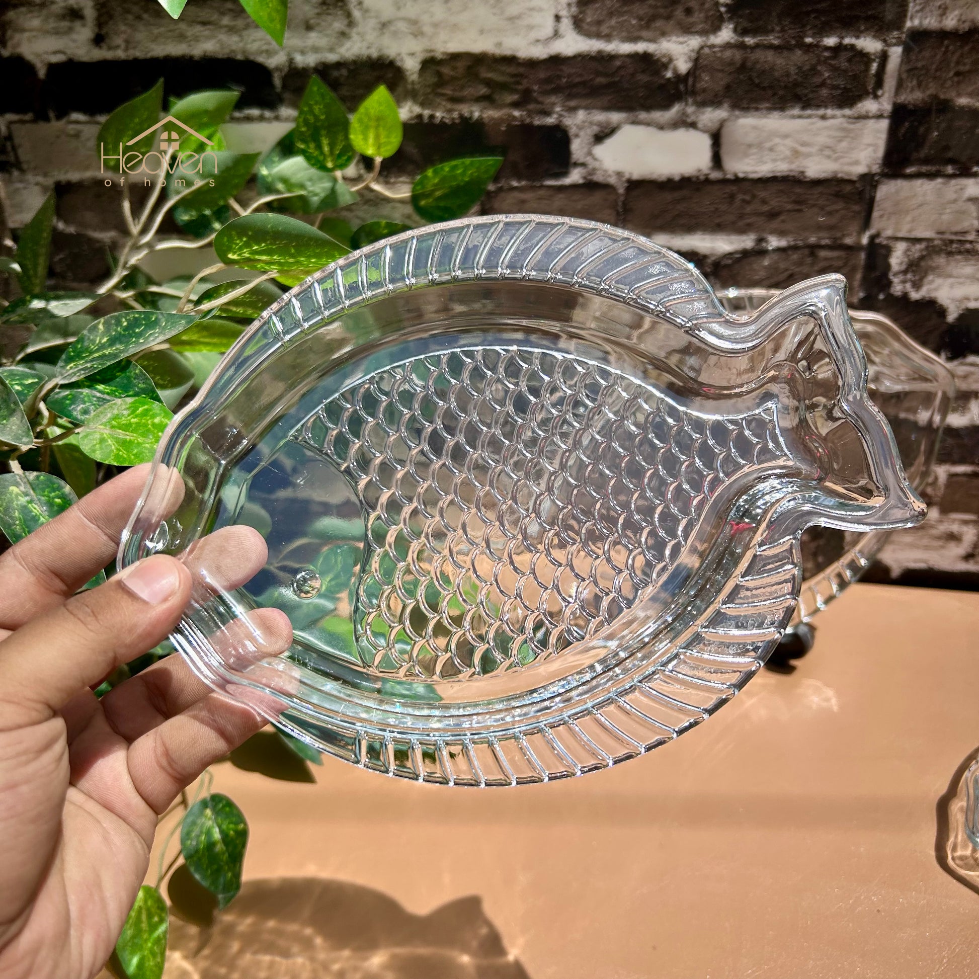 Heaven® Beautiful Fish Tray Set of 3-Transparent Glass - Heaven of homes - Sale Pakistan