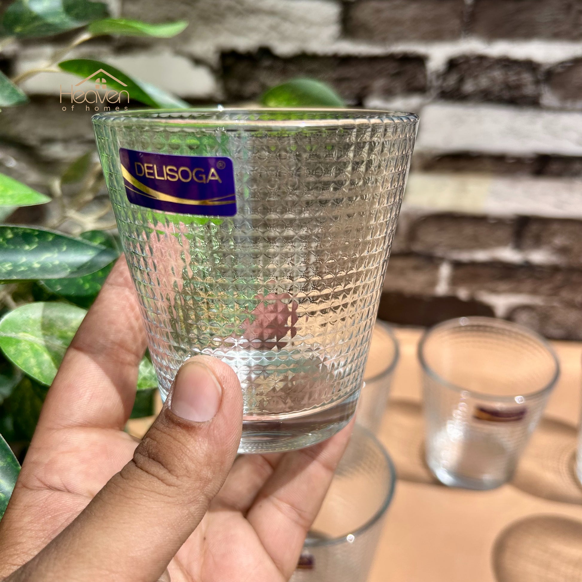 Delisoga® Drinking Glasses Set - 6-Piece Everyday Collection | Elegant 240 ml Dotted - Heaven of homes - Sale Pakistan