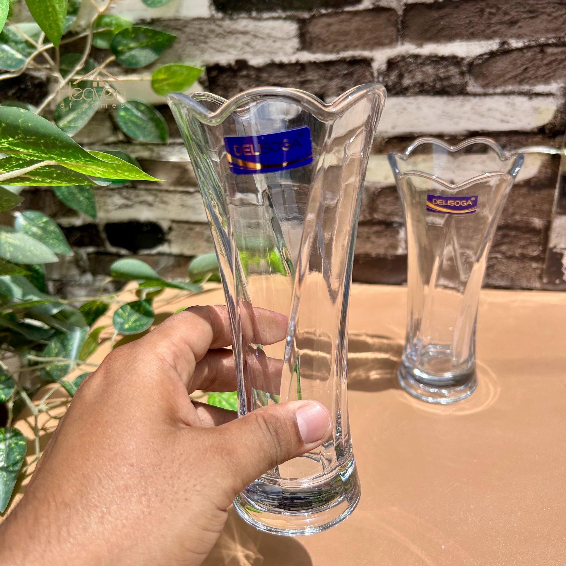 Delisoga® Set of 2 Glass Vases – Elegant Home Decor for Flowers & Arrangements - Heaven of homes - Sale Pakistan