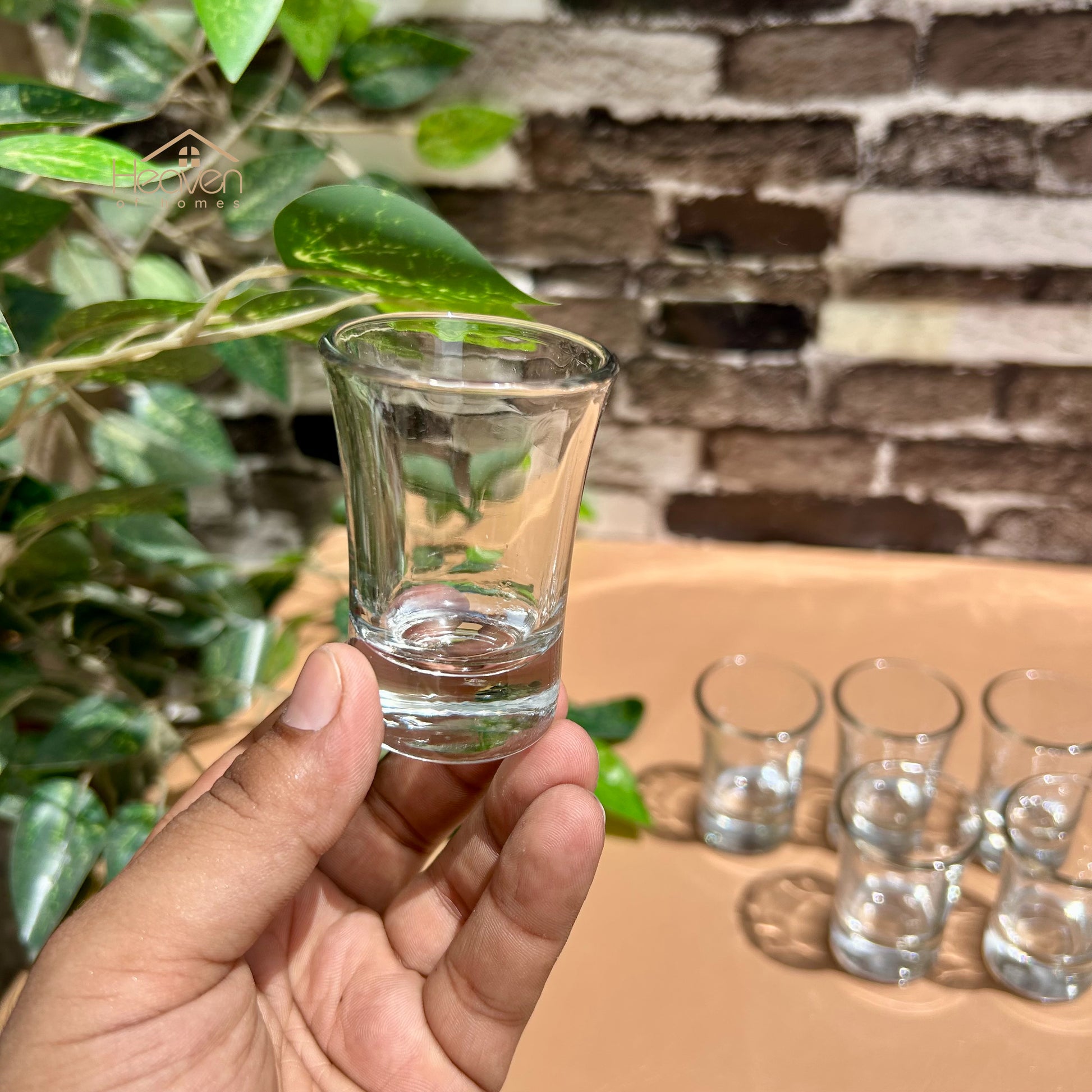 Heaven® Zam Zam Mini Glasses – Set of 6 for Decor or Candle Crafting Nilofar - Heaven of homes - Sale Pakistan