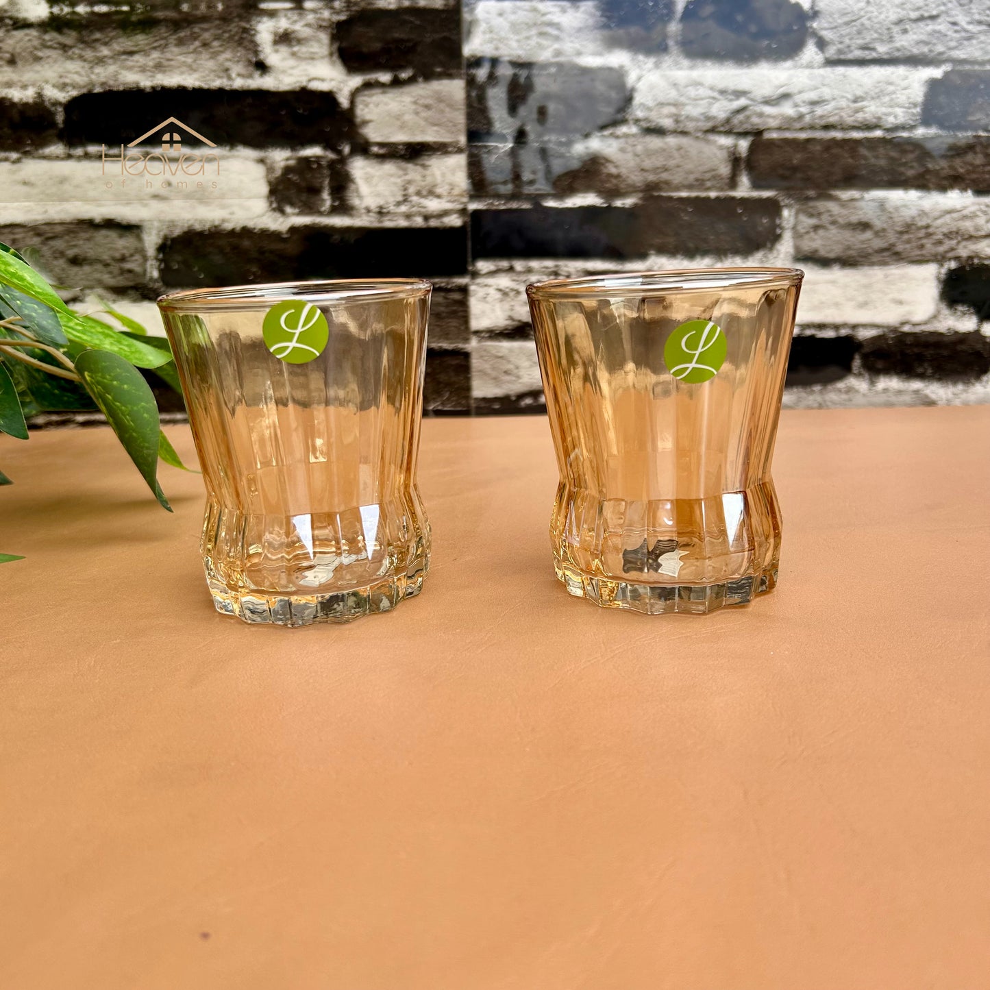 Limon Set of 6 Gold Drinking Glasses – Elegant Clear Glassware Set