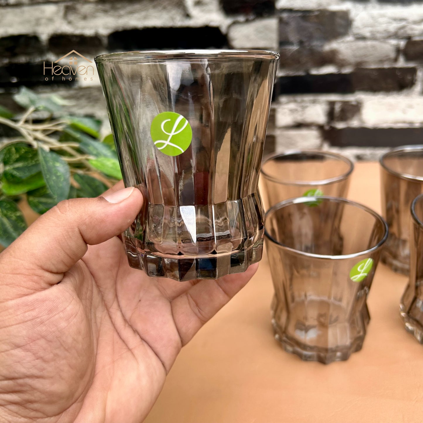 Limon Set of 6 Smoke Grey Drinking Glasses – Modern Transparent Glassware Set