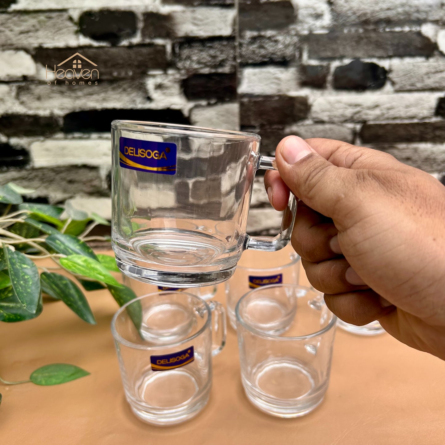 Delisoga® Set of 6 Transparent Glass Tea & Coffee Cups – 220 ml Clear Glass Mugs Set ZB26B-220