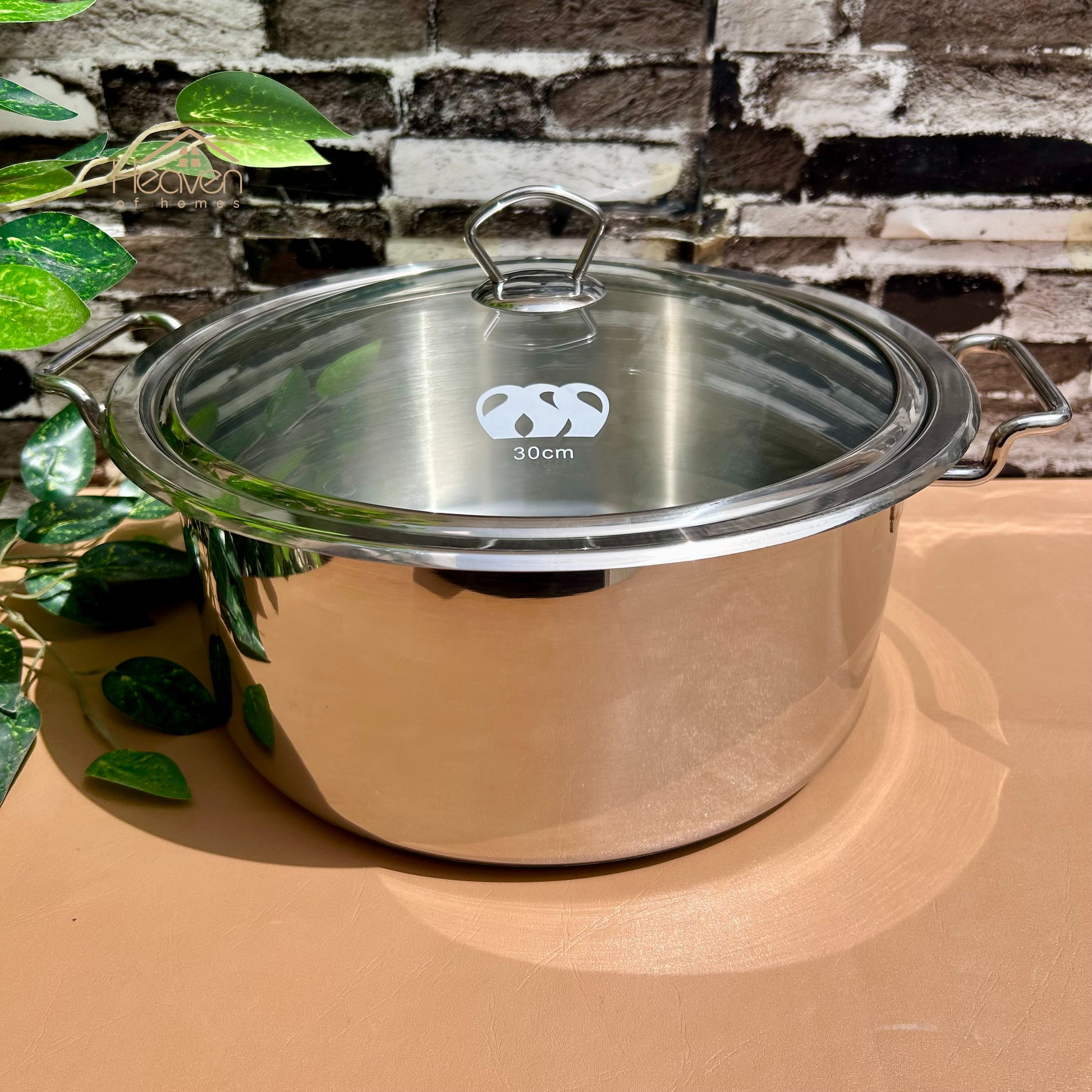 Alpha® Stainless Steel Cooking Pot with Encapsulated Bottom and Tempered Glass Lid – Durable, Even Heat Distribution - Heaven of homes - Sale Pakistan