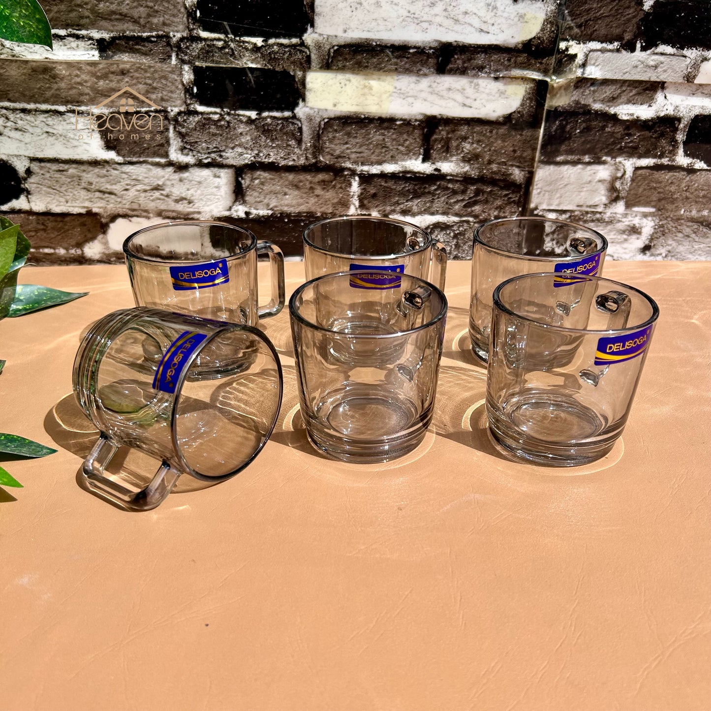 Delisoga® Set of 6 Clear Glass Coffee & Green Tea Cups– 220 ml Elegant Green Tea Mugs Grey - Heaven of homes - Sale Pakistan