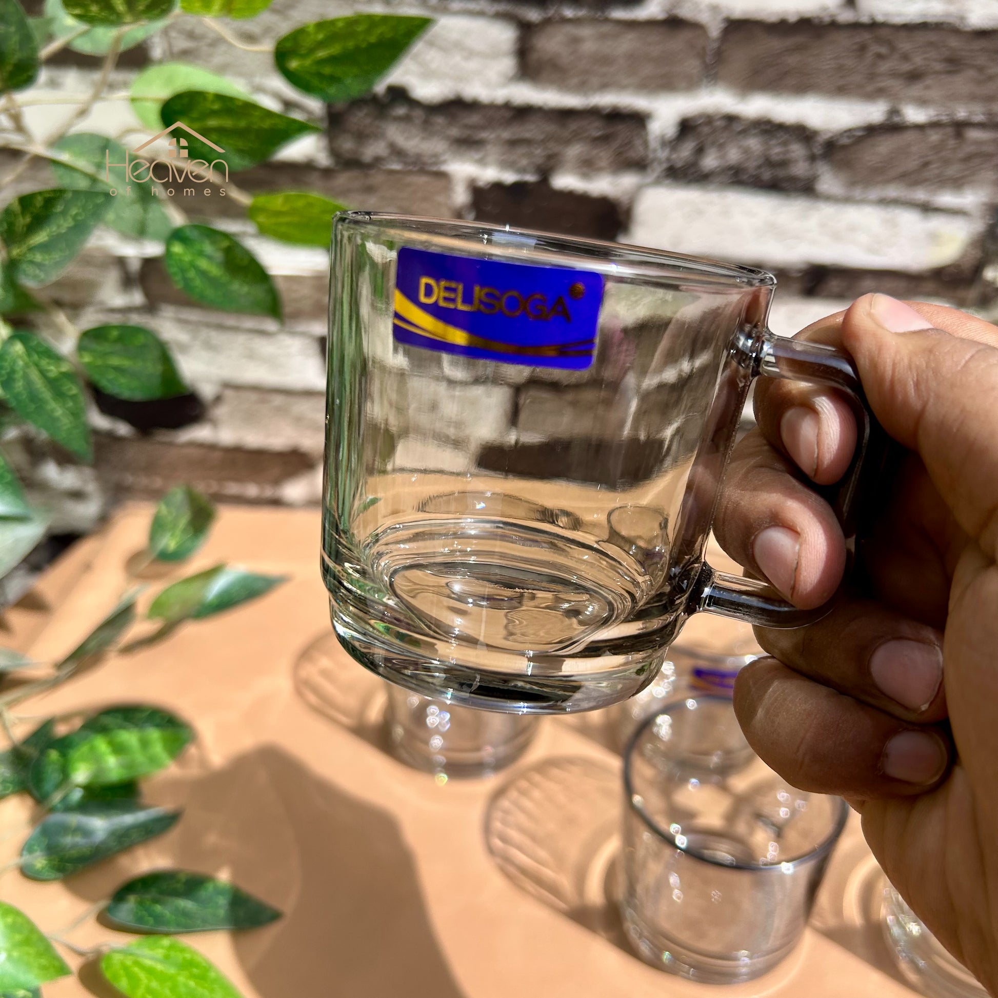 Delisoga® Set of 6 Clear Glass Coffee & Green Tea Cups– 220 ml Elegant Green Tea Mugs Grey - Heaven of homes - Sale Pakistan