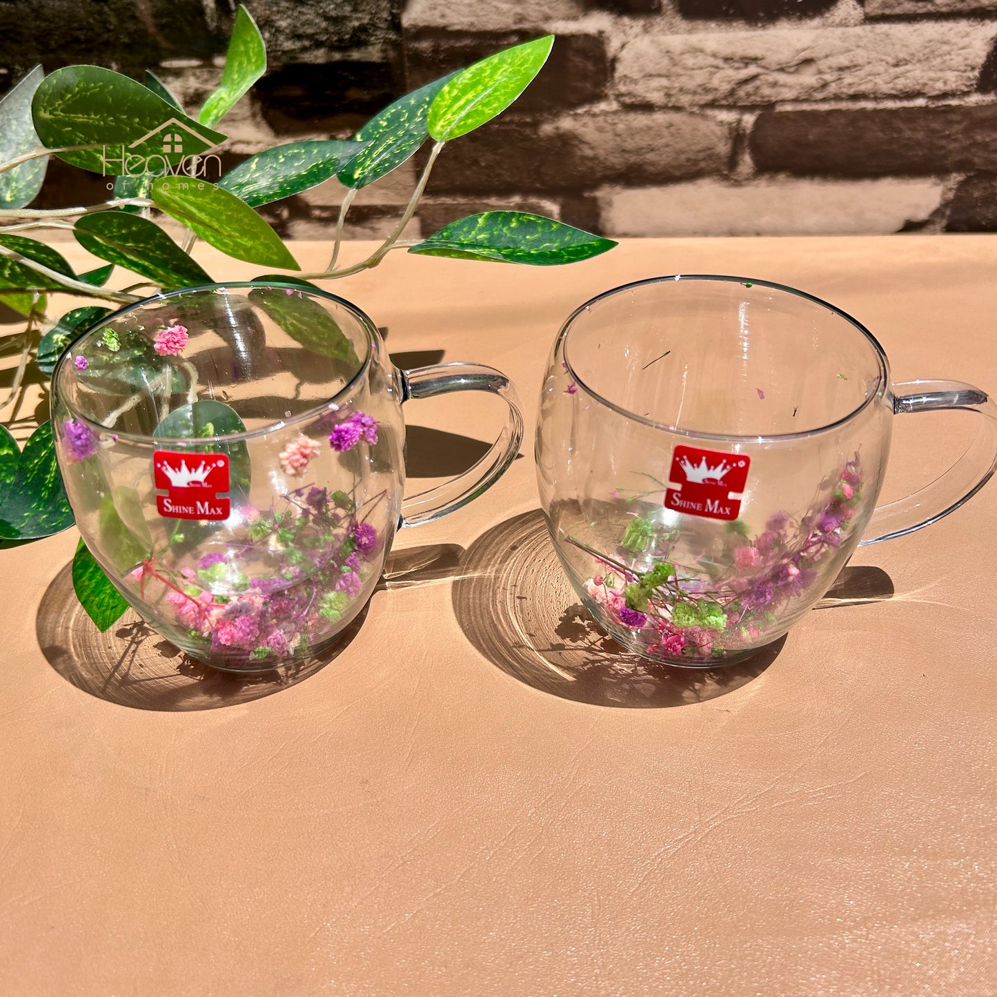 Heaven® Set of 2 Double Wall Glass Mug with Dry Flowers – Elegant Insulated Tea & Coffee Cup