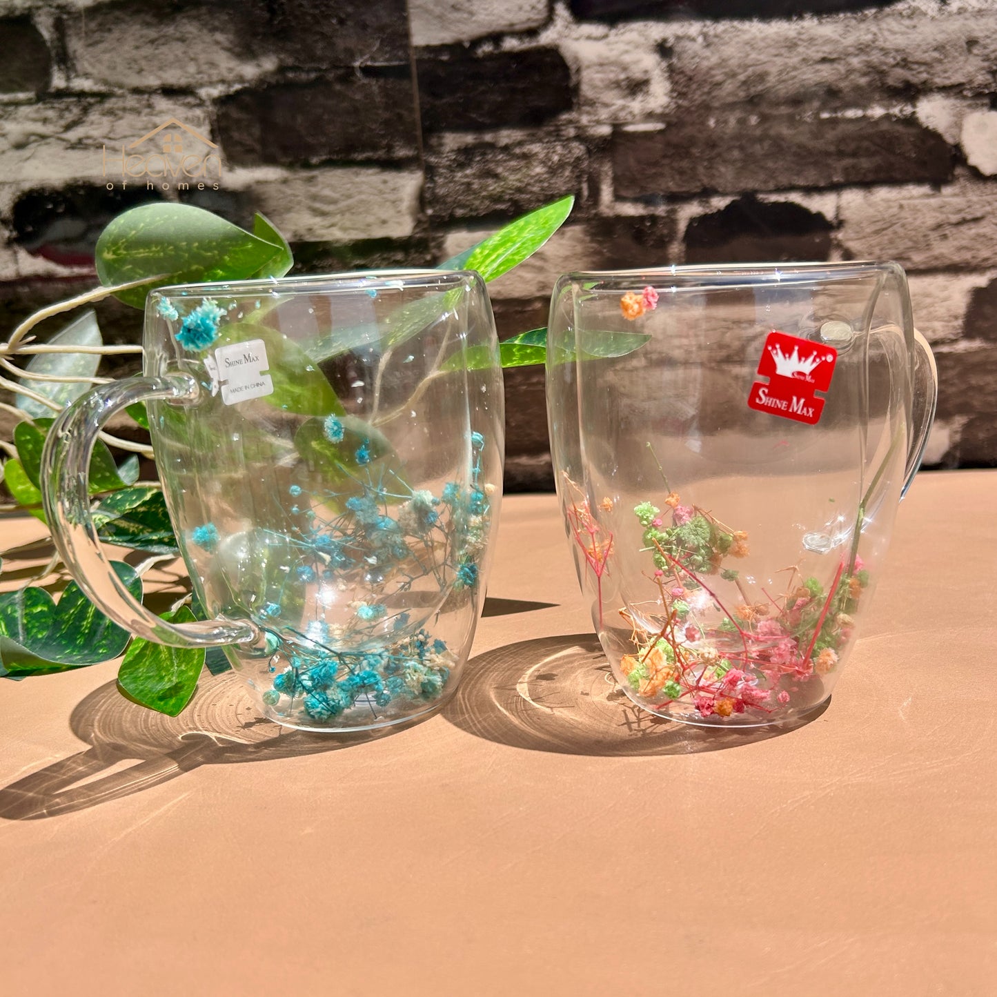 Heaven® Set of 2 Double Wall Glass Mug with Dry Flowers – Elegant Insulated Tea & Coffee Cup