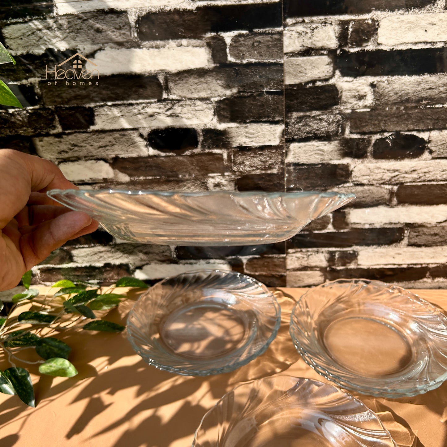Delisoga® 6-Piece Clear Glass Soup Plate Set – Stylish Tableware for Everyday Use 9 Inches